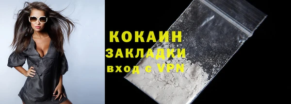 твердый Каменка