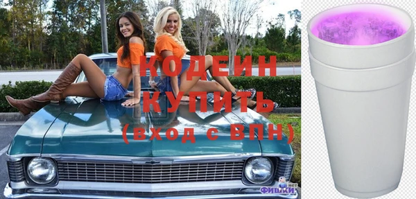 дурь Карпинск