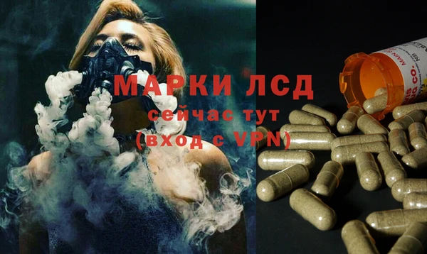 MDMA Каменногорск