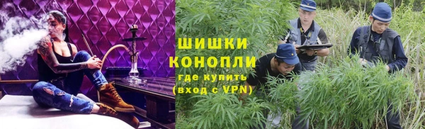 дурь Карпинск